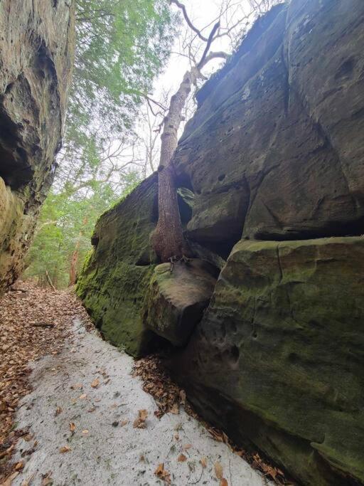 Willa Hocking Hills Cabin-Private Hot Tub, Hiking, Caves Rockbridge Zewnętrze zdjęcie